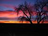 Sunrise/Sunset : 