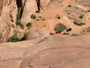 Don Lawrence (dontlr) > Moab ROF 06 photo